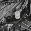 perfumy pieprzno-kwiatowe męskie Oak