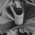 perfumy męskie Oak Berlin 100ml