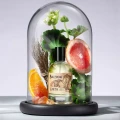 perfumy Elements Earth Bullfrog