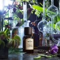 woda perfumowana Bullfrog Elisir nr 1