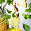 perfumy Cyrulicy Rogue